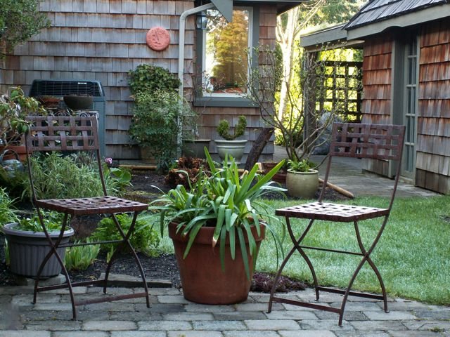 Early spring in our side garden….