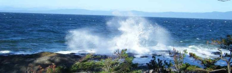 Ocean Action…..
