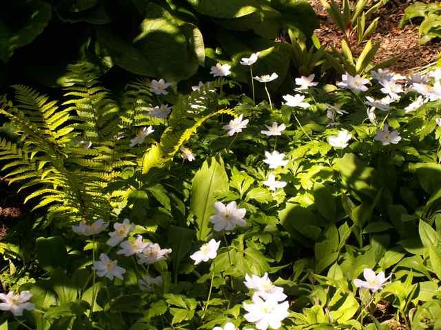 PICT0007