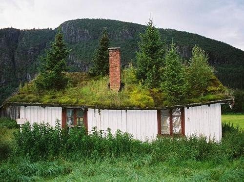 Green roofs