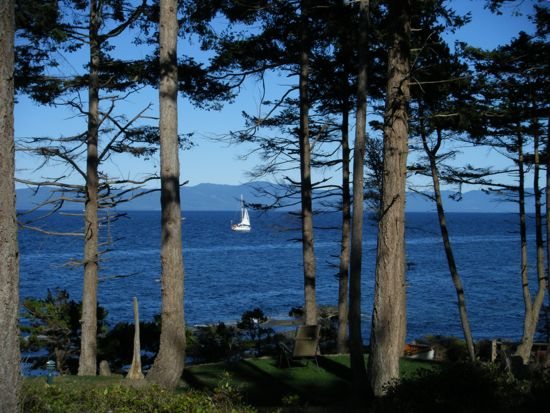 Islands in Thyme…..