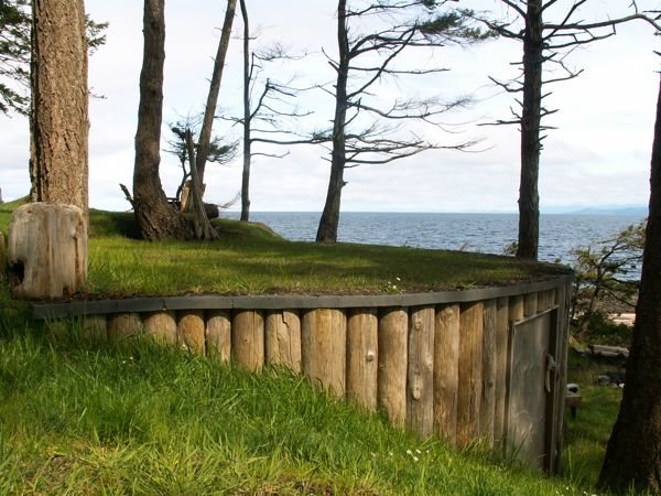 Green roofs…..