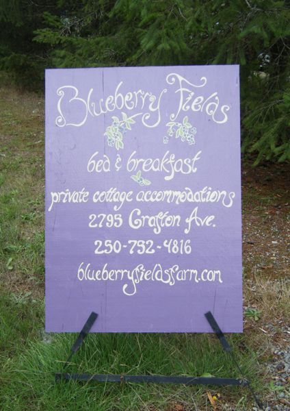 Blueberry Fields…..
