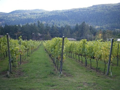 A day on Salt Spring Island