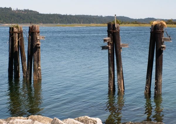 Purple Martin houses…..