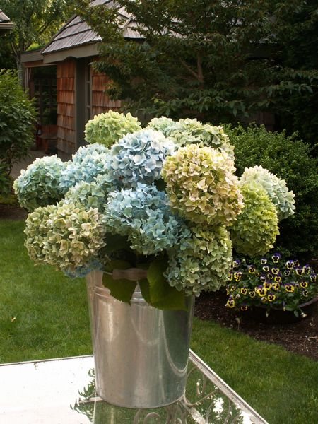 Bucket of blooms
