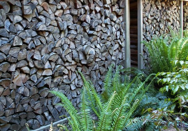 Wood piles