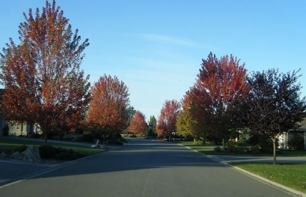 Meadow Drive…..