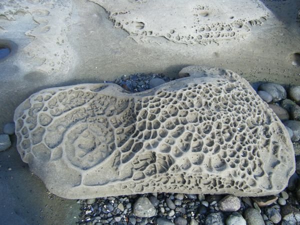 Walking along the ocean’s edge