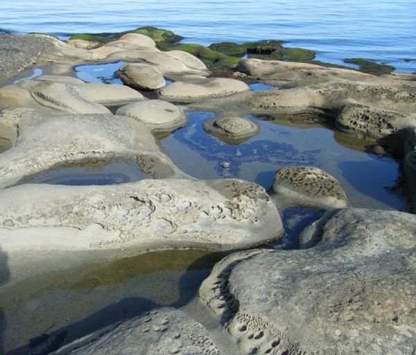 Walking along the ocean’s edge…..