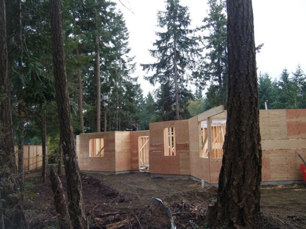 New house framing