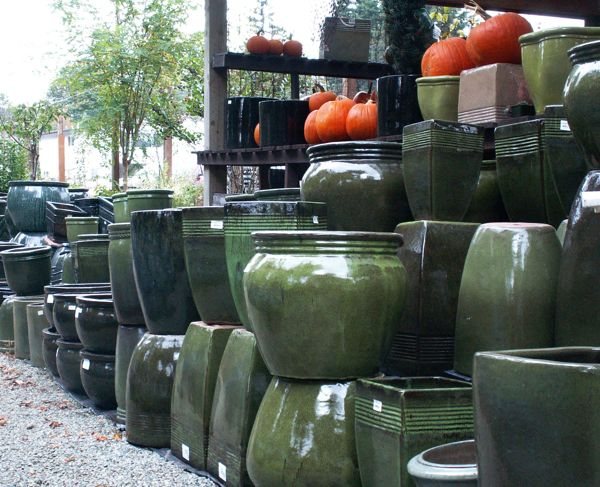Pots and Pumpkins