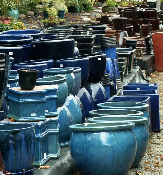 Pots and Pumpkins