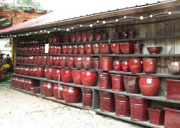 Pots and Pumpkins