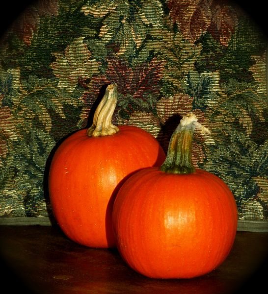 Happy Thanksgiving