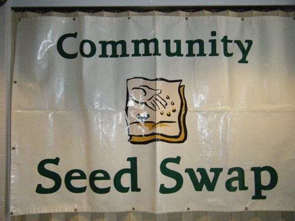 Seedy Saturday