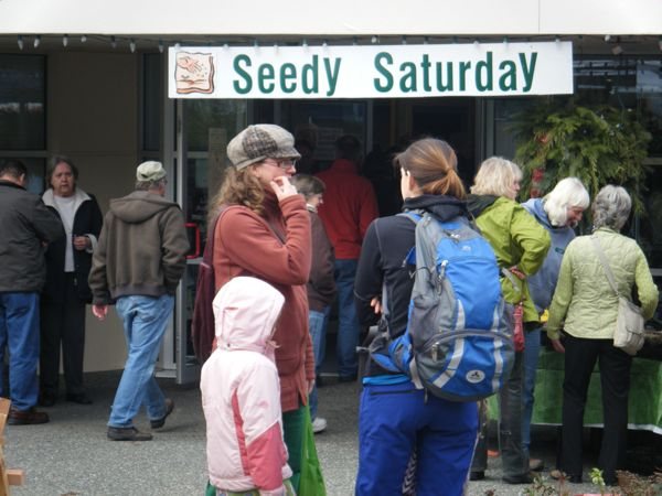 Seedy Saturday