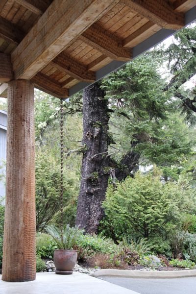 Adzed timbers at the Wickaninnish Inn…..