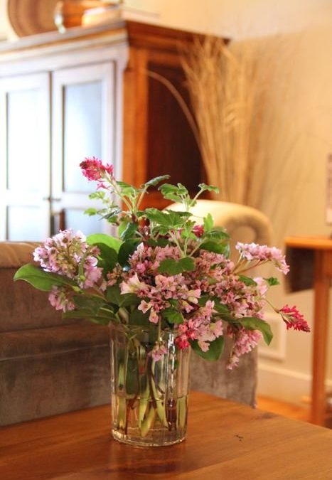 First garden bouquet of spring