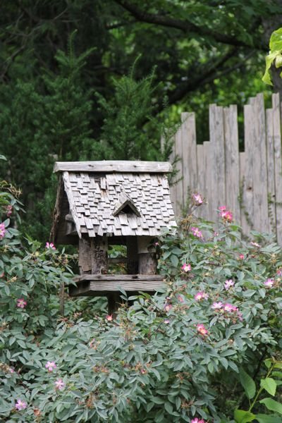Island House and Garden Tours