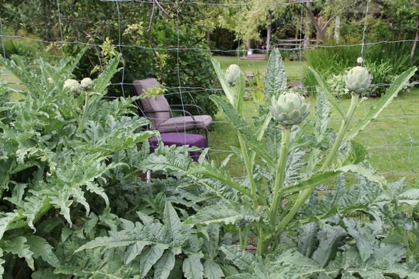 Island House and Garden Tours