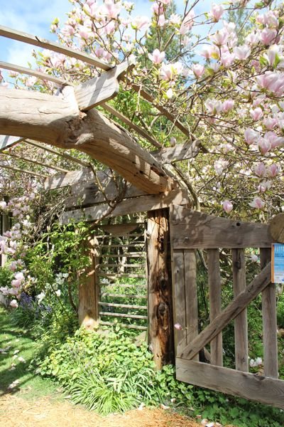 More Island House & Garden Tour…..