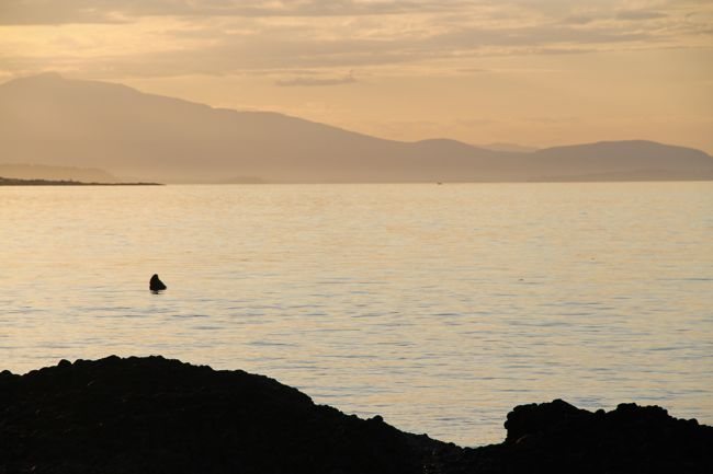 A few moments on our beach…..