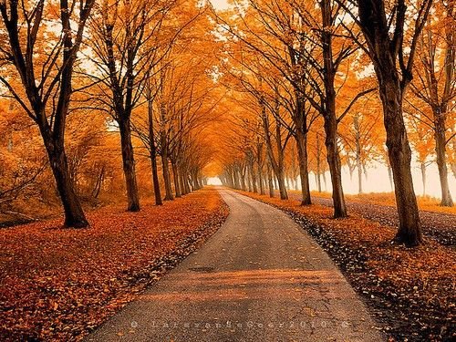 Happy Thanksgiving!!…..