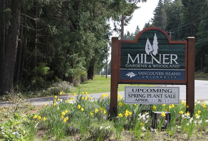 Milner Gardens Spring Plant Sale