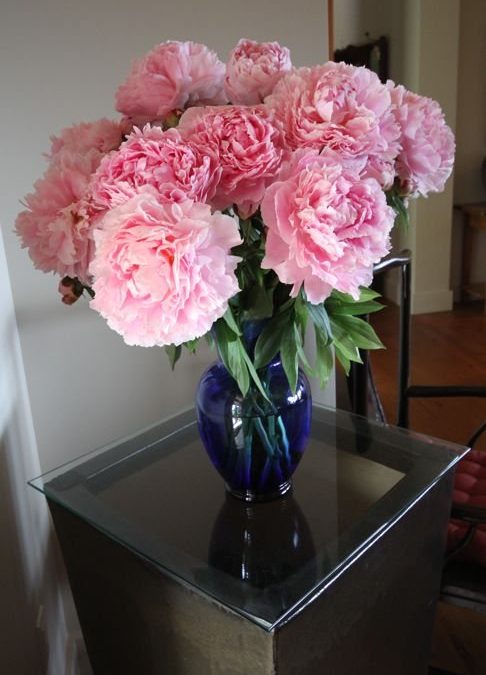 Early summer ~ weather & blooms…..