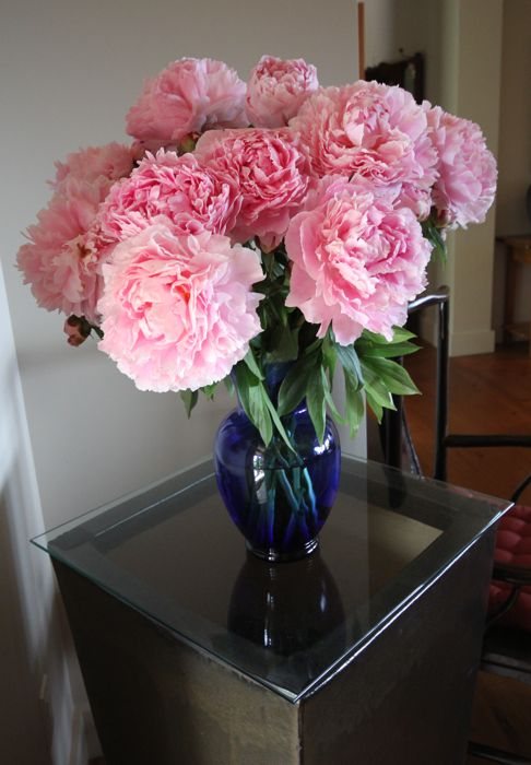 Early summer ~ weather & blooms
