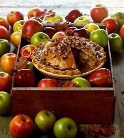 Visual pleasures of Fall